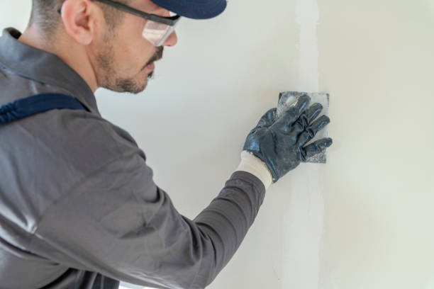 Weyers Cave, VA Mold Removal Company