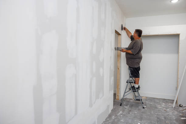 Best Emergency Mold Remediation  in Weyers Cave, VA