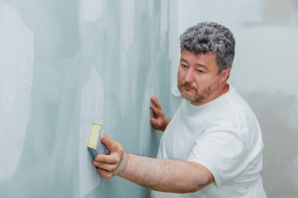 Mold Removal for HVAC Installations in Weyers Cave, VA